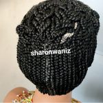 Up Crossing Braided Wig  BCA023 Black and Black Grey Highlights - Image 7