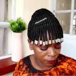 Updo Wig With Bangs Fringe Bang Wig Box Braided