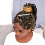 Long Ponytail Braided Wig BCA001 BCA018 colour 1and 27