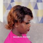 6 INCH HUMAN HAIR WIG BODY WAVE SHORT HAIR CUT COLOUR 230 - Image 7