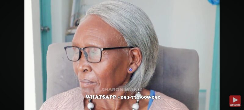salt and pepper  bob wig - Image 4
