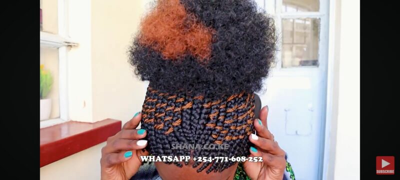 Updo Afro Braided Zigzag Hairstyle wig BRAIDED WIG FT SHARONWANIZ - Image 2