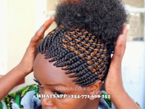 Updo Afro Braided Zigzag Hairstyle wig BRAIDED WIG FT SHARONWANIZ