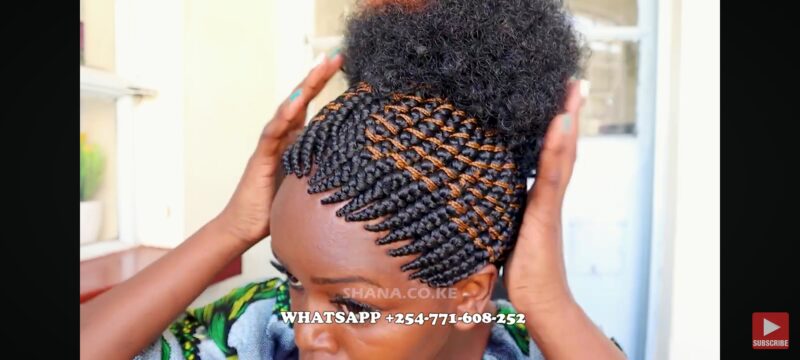 Updo Afro Braided Zigzag Hairstyle wig BRAIDED WIG FT SHARONWANIZ
