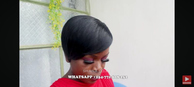 Side fringe Braided Wig for Black Women, No Frontal with No Baby Hair,Fully Handmade FT SHARONWANIZ - Image 5