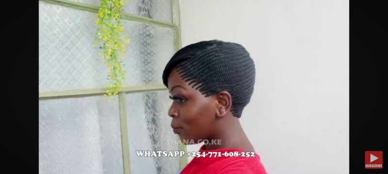 Side fringe Braided Wig for Black Women, No Frontal with No Baby Hair,Fully Handmade FT SHARONWANIZ - Image 4