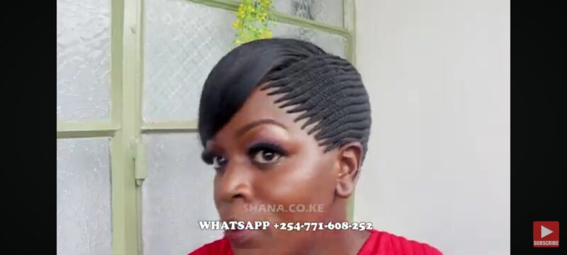 Side fringe Braided Wig for Black Women, No Frontal with No Baby Hair,Fully Handmade FT SHARONWANIZ - Image 7