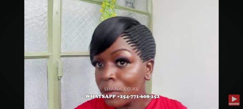 Side fringe Braided Wig for Black Women, No Frontal with No Baby Hair,Fully Handmade FT SHARONWANIZ