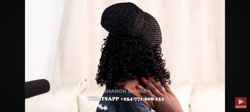 Braided Twisted Wig with Back Curly Ends | Protective Style for Natural Hair ft Sharonwanizwigs BST001 - Image 3