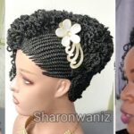 Transform Your Look: Twisted Braided Wig for Black Women | Featuring Sharonwanizwigs BS009 -02