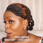 Most Unique Braided wig Backconrow color black and 33 BMS0839