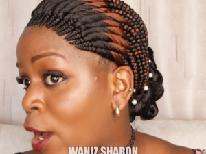 Most Unique Braided wig Backconrow color black and 33 BMS0839